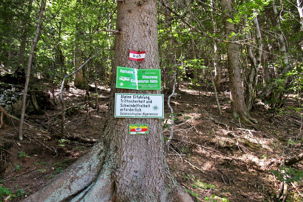 115 bei dieser Abzweigung gehen wir jetzt Richtung Maerchenwiese zum Bodenbauer wo wir uns ein Bier verdient haben.jpg